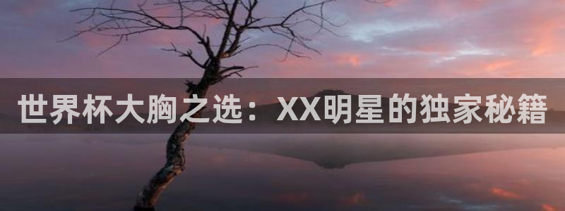 2026世预赛赛程表:世界杯大胸之选:XX明星的独家秘籍