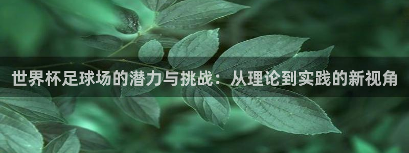 世界杯欧洲区预选赛:世界杯足球场的潜力与挑战:从理论到实践的新视角