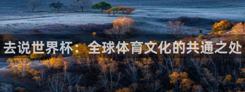 世界杯足球赛2026赛程时间:去说世界杯:全球体育文化的共通之处