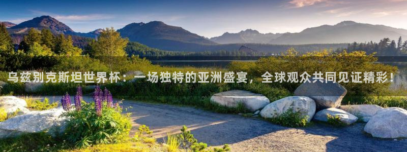 世界杯2026赛程:乌兹别克斯坦世界杯:一场独特的亚洲盛宴,全球观众共同见证精彩!