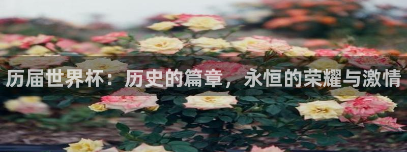 世界杯今日赛程直播:历届世界杯:历史的篇章,永恒的荣耀与激情