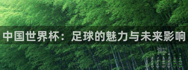 2006年世界杯:中国世界杯:足球的魅力与未来影响
