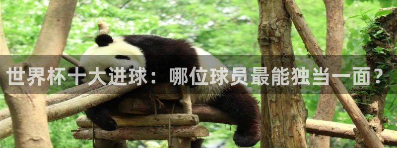 世界杯预选赛:世界杯十大进球:哪位球员最能独当一面?
