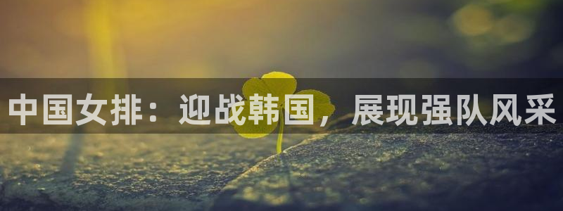 2026年世界杯赛程:中国女排:迎战韩国,展现强队风采
